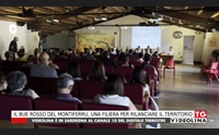 il bue rosso del montiferru una filiera per rilanciare il territorio