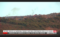 incendi brucia la sardegna paura e caos nell oristanese con la 131 chiusa