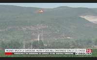 incendi brucia la sardegna paura e caos nell oristanese con la 131 chiusa