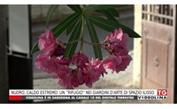 nuoro caldo estremo un rifugio nei giardini d arte di spazio ilisso