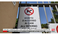 cagliari a monteclaro i cani fuori dal parco la protesta dei proprietari