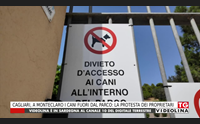 cagliari a monteclaro i cani fuori dal parco la protesta dei proprietari
