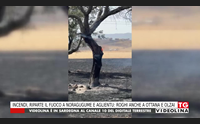 incendi riparte il fuoco a noragugume e aglientu roghi anche a ottana e olzai
