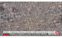 incendi la sardegna continua a bruciare fiamme e paura nei monti di furtei