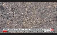 incendi la sardegna continua a bruciare fiamme e paura nei monti di furtei