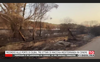 incendio alle porte di olbia tre ettari di macchia mediterranea in cenere