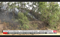 contratto forestali la protesta in via roma adesso risposte