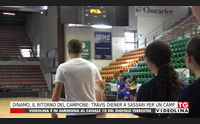 dinamo il ritorno del campione travis diener a sassari per un camp