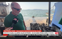 golfo di olbia allarme caldo estremo in un anno perse 40mila cozze