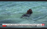 coast to coast anche stintino ha istituito la sua spiaggia per i cani