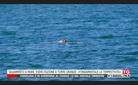 salvamento a mare esercitazione a torre grande fondamentale la tempestivit