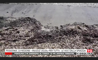 posidonia la regione regole uguali per tutti le voci dalla spiaggia