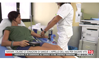 sassari calano le donazioni di sangue l appello dell aou per salvare vite