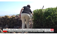 nascosta per secoli a bortigali scoperta monumentale tomba dei giganti