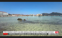 primo weekend di agosto nel nord sardegna arrivi record e controlli in mare rafforzati