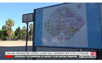 cagliari prevenzione contro la west nile interventi per tutta la stagione
