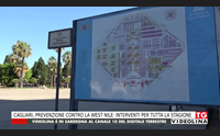 cagliari prevenzione contro la west nile interventi per tutta la stagione