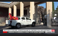 west nile a cagliari disinfestazione al cimitero e all orto botanico