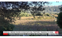dorgali 88enne muore schiacciato dal trattore tragedia in vigna