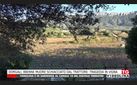 dorgali 88enne muore schiacciato dal trattore tragedia in vigna