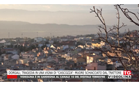 dorgali tragedia in una vigna di cascozza muore schiacciato dal trattore