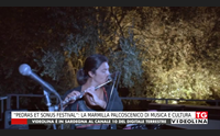 pedras et sonus festival la marmilla palcoscenico di musica e cultura