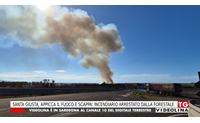 santa giusta appicca il fuoco e scappa incendiario arrestato dalla forestale