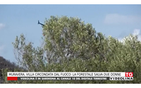 muravera villa circondata dal fuoco la forestale salva due donne