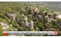 sardegna e giappone osini e amami le due isole della lunga vita