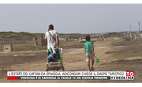 l estate dei cafoni da spiaggia adiconsum chiede il daspo turistico
