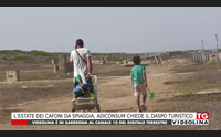 l estate dei cafoni da spiaggia adiconsum chiede il daspo turistico
