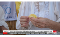 girasole il culurgione vale una firma la sagra si candida al marchio doc