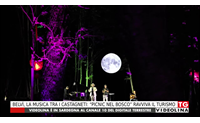 belv la musica tra i castagneti picnic nel bosco ravviva il turismo