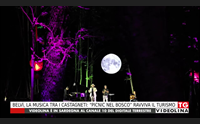 belv la musica tra i castagneti picnic nel bosco ravviva il turismo