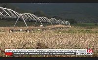 campagne infuocate campi in sofferenza consumi d acqua da record per irrigare