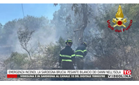 emergenza incendi la sardegna brucia pesante bilancio dei danni nell isola