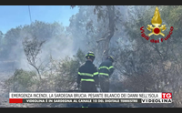 emergenza incendi la sardegna brucia pesante bilancio dei danni nell isola