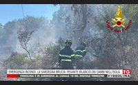 emergenza incendi la sardegna brucia pesante bilancio dei danni nell isola