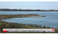area naturale simbirizzi nel lago poca acqua ma rifiuti ovunque