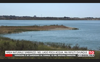 area naturale simbirizzi nel lago poca acqua ma rifiuti ovunque