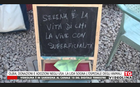 olbia donazioni e adozioni negli usa la lida sogna l ospedale degli animali