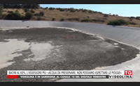 bacini al 60 l assessore piu acqua da preservare non possiamo aspettare le piogge