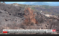 arzana allevatore intossicato dall incendio per salvare gli animali