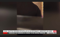 olbia quattro persone accoltellate in un ristorante arrestato un uomo