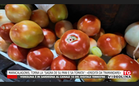 maracalagonis torna la sagra de su pani e sa tomata eredit da tramandare