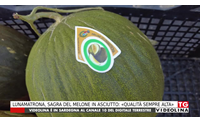 lunamatrona sagra del melone in asciutto qualit sempre alta
