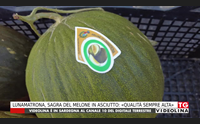 lunamatrona sagra del melone in asciutto qualit sempre alta