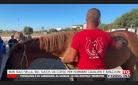 non solo sella nel sulcis un corso per formare cavalieri e amazzoni