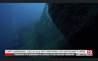 capo carbonara caccia alle reti fantasma che soffocano il mare