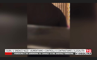 olbia il sindaco nizzi aumentiamo i controlli e contrastiamo l illegalit